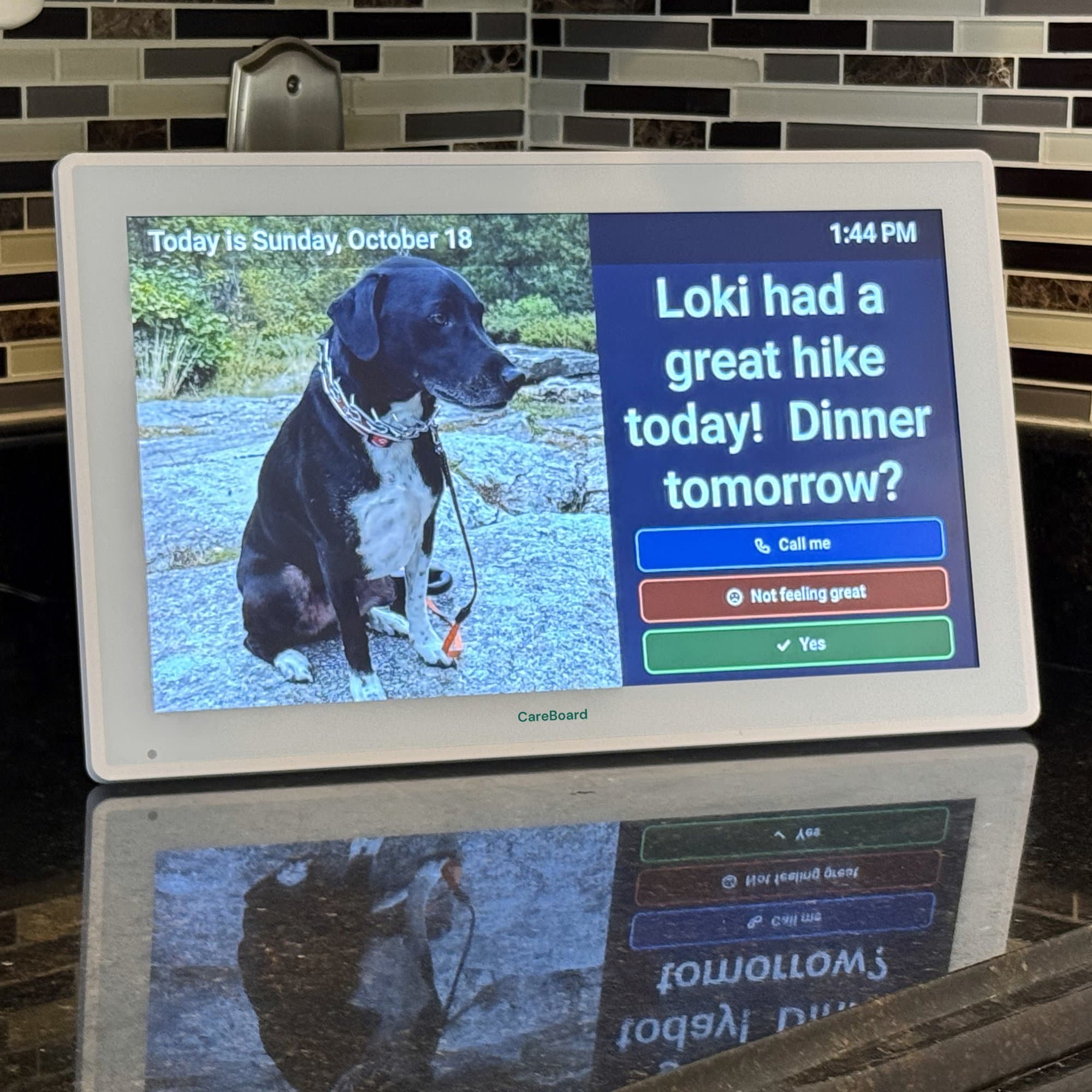 CareBoard on a kitchen counter showing a photo of a dog next to the message Loki had a great hike today, Dinner tomorrow?, with Call me, Not feeling great and Yes buttons
